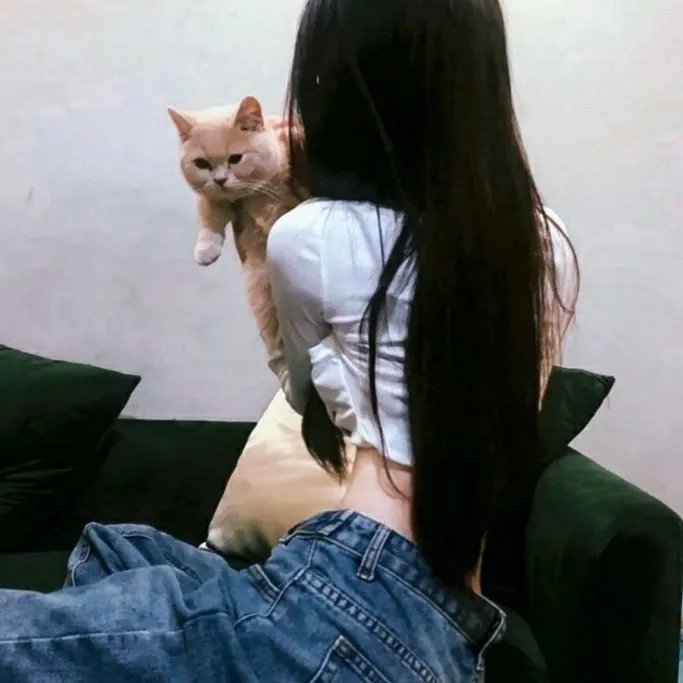 集结风暴